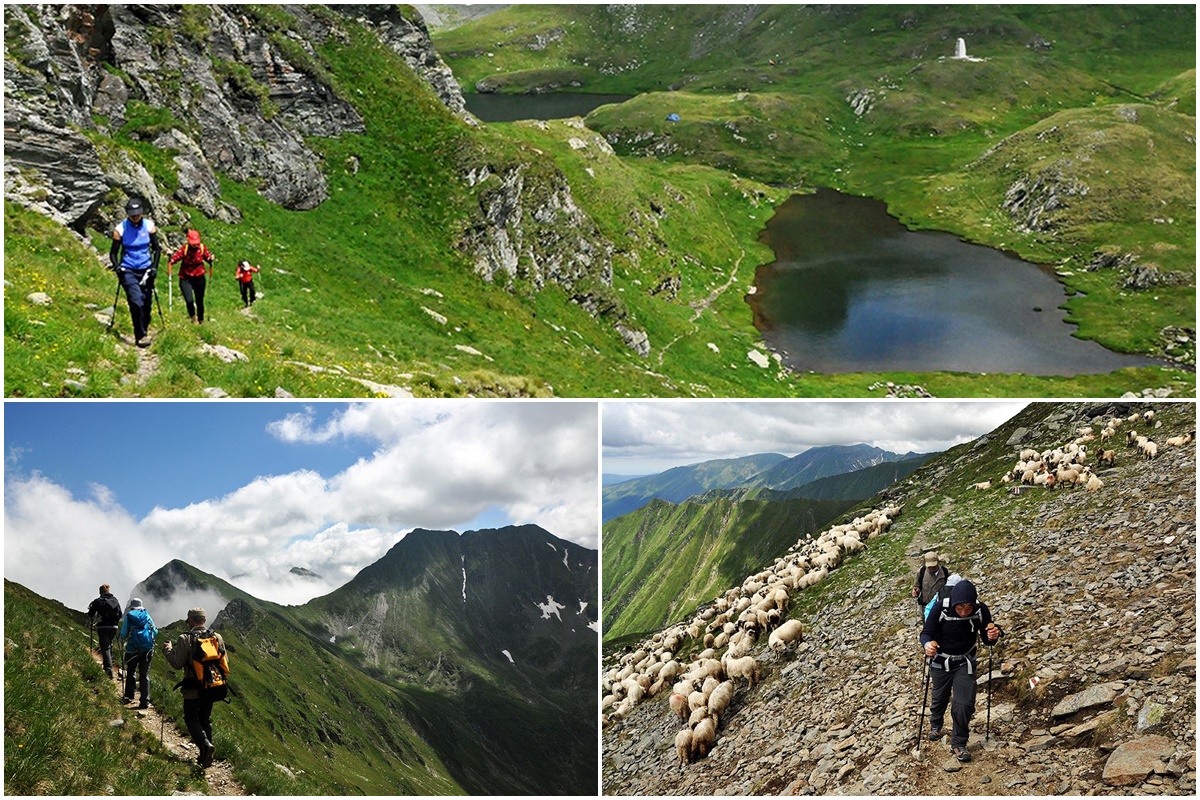 Hiking and trekking in the Retezat and Făgăraș Mountains